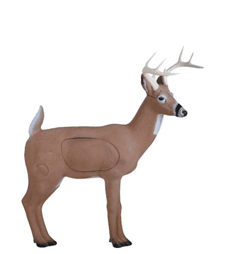 Alert Deer - Rinehart3D