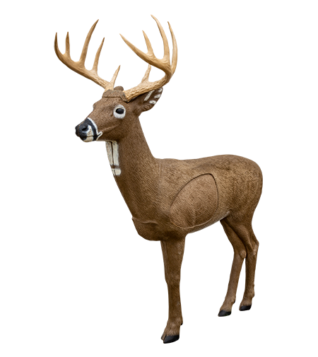 NEW Rinehart Targets 120 Big Ten Buck Self Healing Archery Deer Hunting Target 