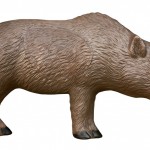Woodland Boar