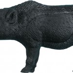 Razorback Boar