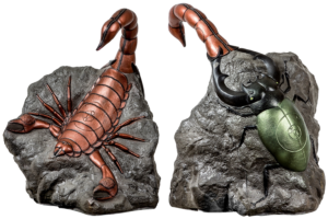 Scorpion-Stag-Beetle-Both-Sides