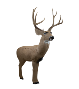 Woodland Mule Deer